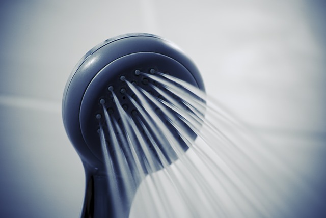 シャワーヘッドメーカーの特徴